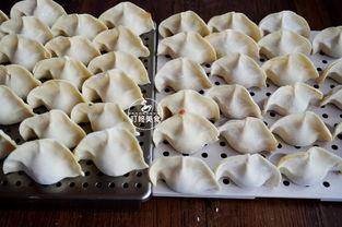 蒲瓜可包饺子吃吗视频大全,家常美味新尝试