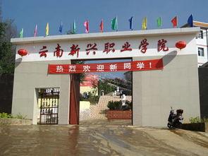 云南新兴学院吃瓜视频,揭秘校园生活趣味瞬间