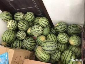 介绍锦华观芷吃瓜视频,揭秘网红吃瓜视频背后的故事