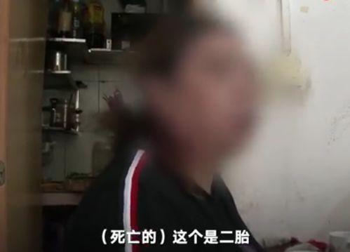 偷瓜吃死了犯法吗视频,偷窃行为法律边界探讨
