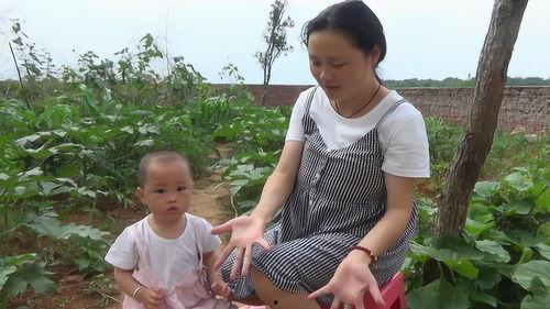 爸爸吃梨瓜的视频,趣味横生的美食瞬间