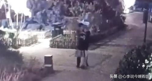 兰州吃瓜的事件视频大全,视频大全背后的社会现象解析