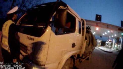 人吃瓜的视频大全播放,人吃瓜视频大全精彩瞬间回顾