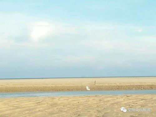 海边吃瓜视频,夏日休闲新风尚