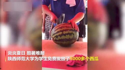 陕西的吃瓜事件视频播放