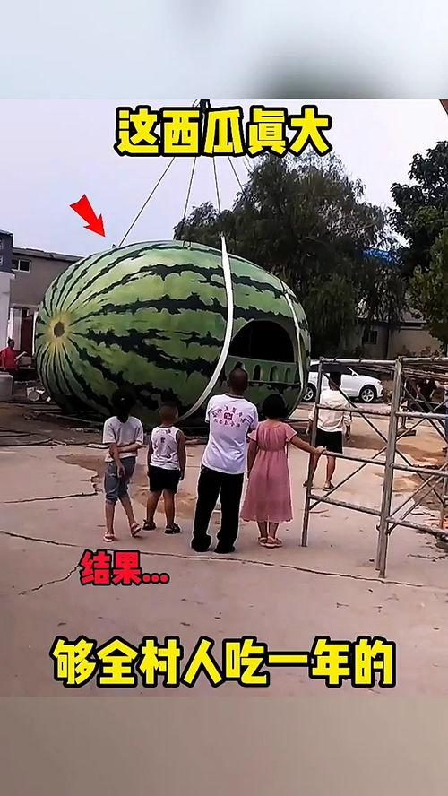 吃大瓜视频配音乐蒙古,吃大瓜视频中的蒙古风情音乐之旅