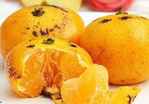 橘子学姐吃瓜视频大全