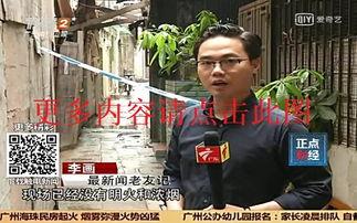 吃瓜新闻今天直播视频