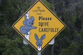 带你吃瓜搞笑路标视频